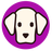 DSP