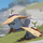Jean LOPIN's avatar